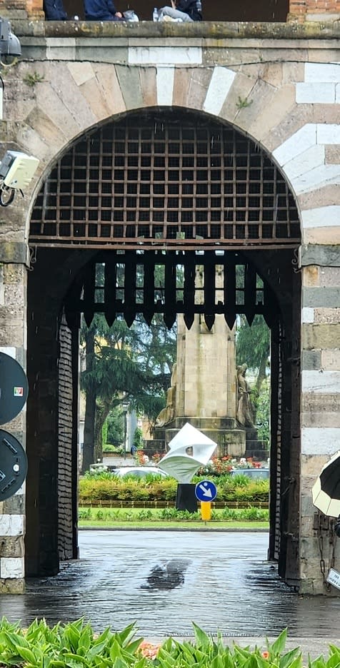 Gustavo Vélez, Cara y Envés, 2024, 2024