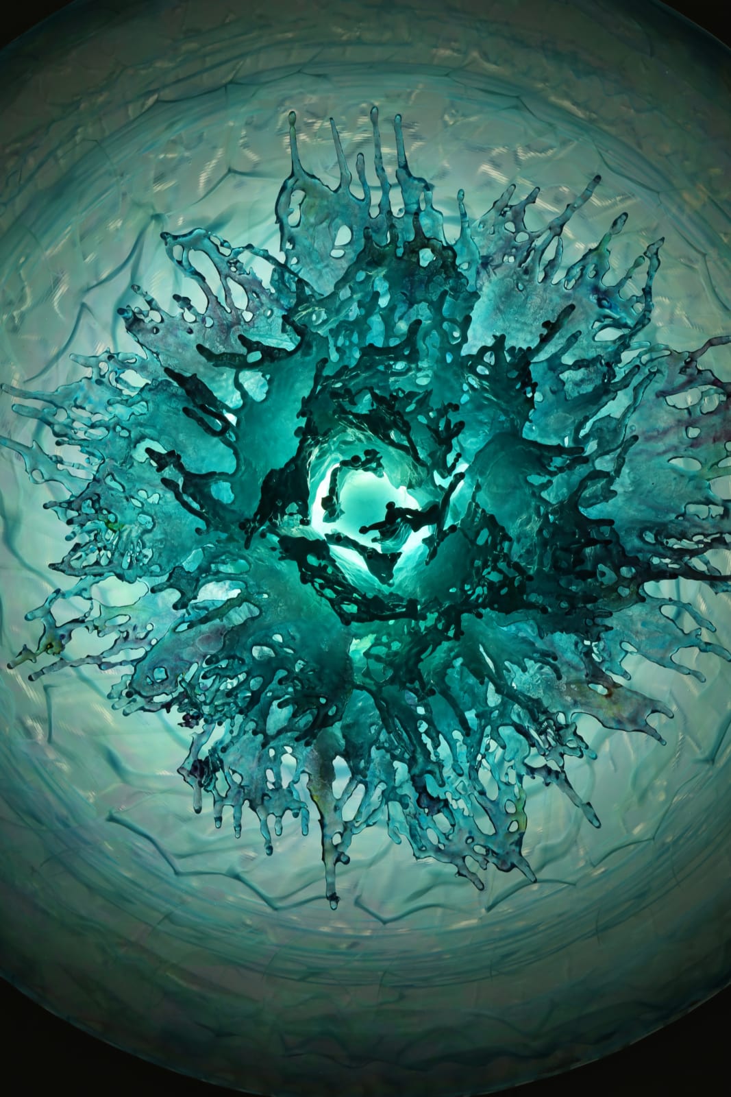 Annalù, Fiore celestiale, 2023