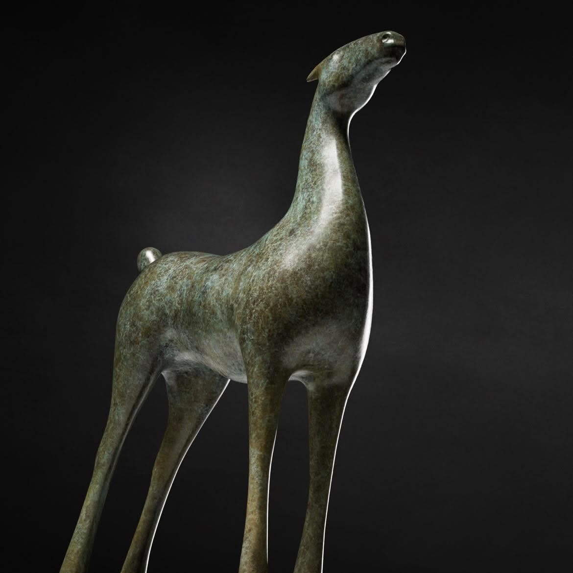 Giuseppe Maiorana, Wild Horse, 2019