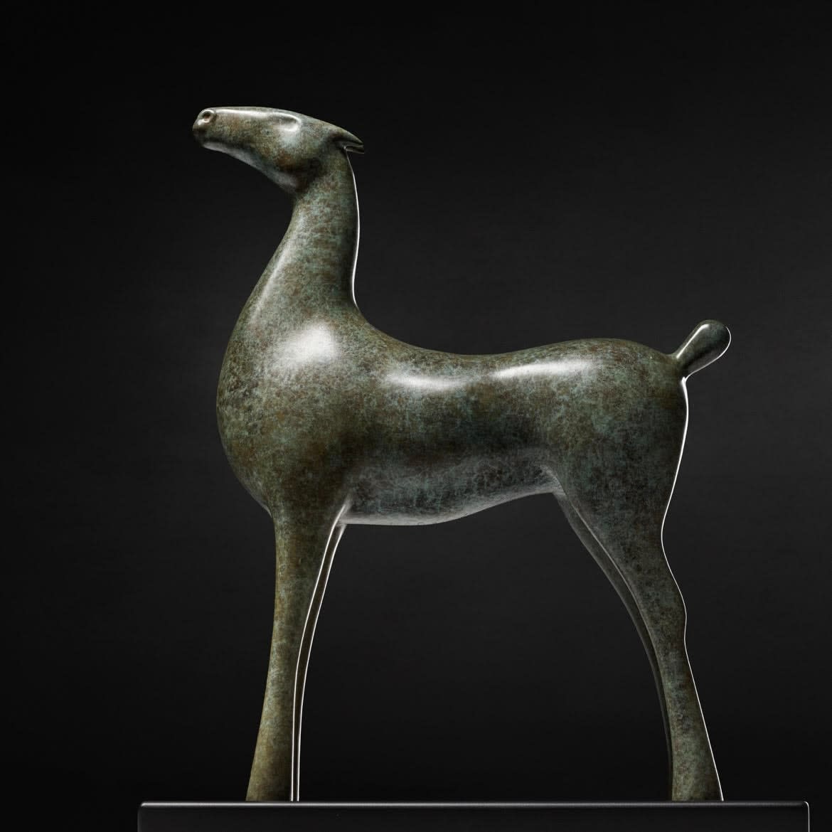 Giuseppe Maiorana, Wild Horse, 2019