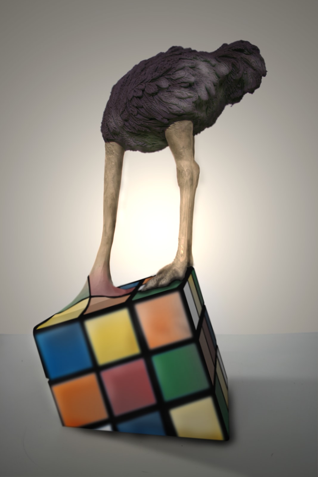 Stefano Bombardieri, Struzzo Rubik , 2012