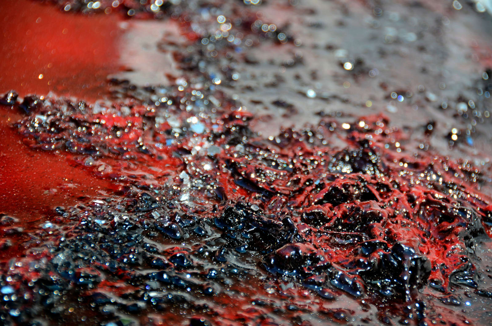 Silvia della Rocca, Red Moon, 2025