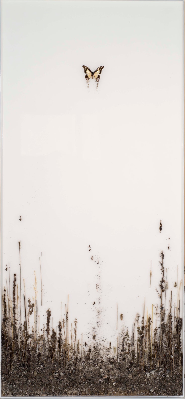 Enzo Fiore, L’Inevitabile , 2018