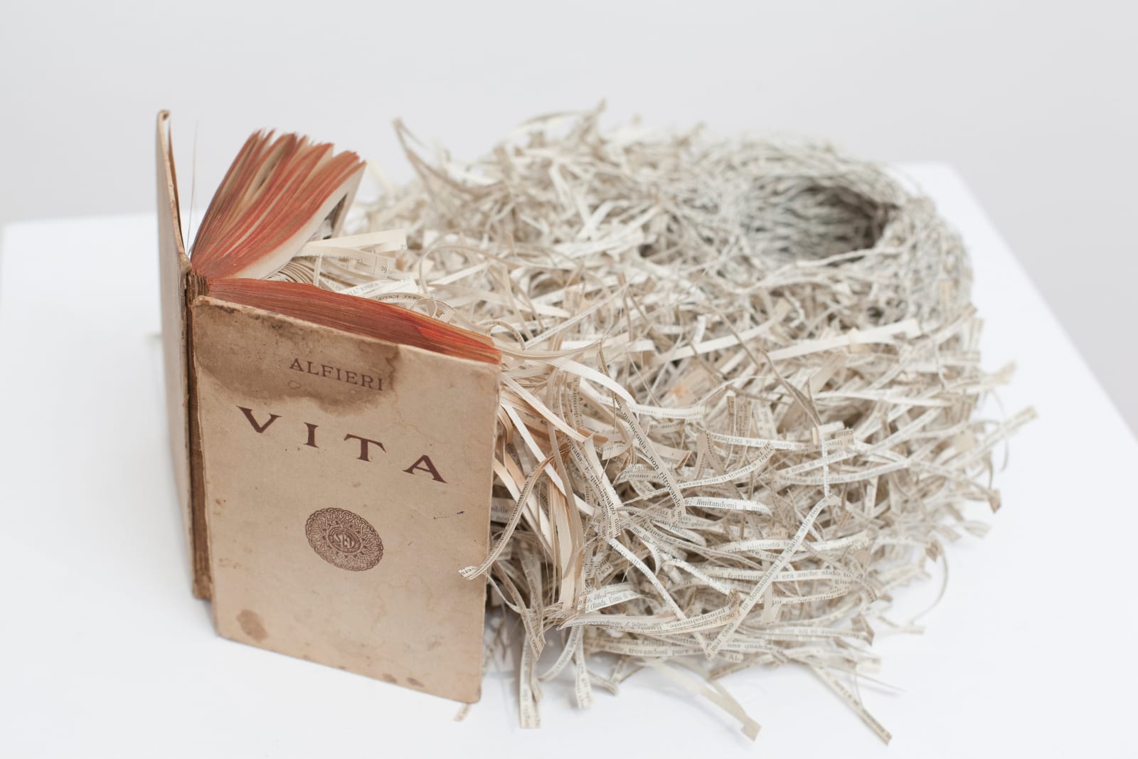 Jukhee Kwon, Vita, 2013