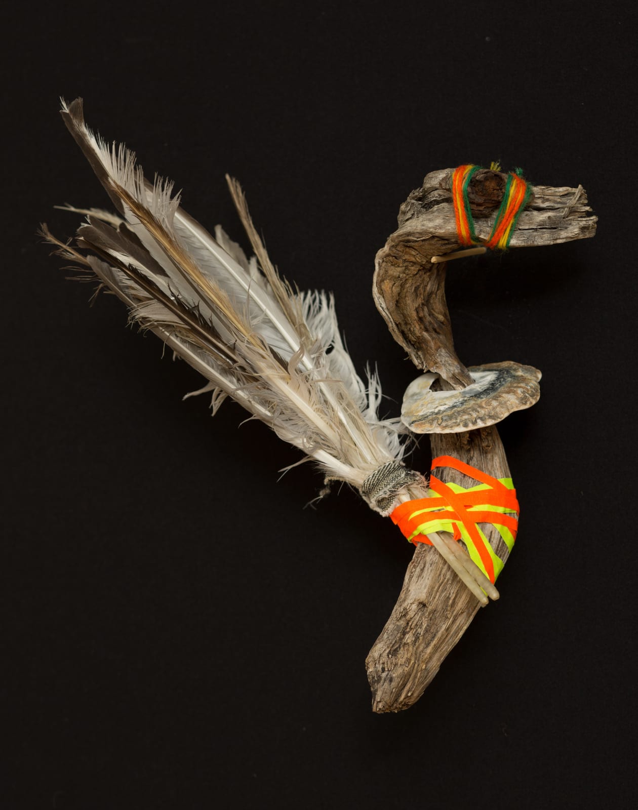 Sylvie Franquet, Oyster snatcher, 2016