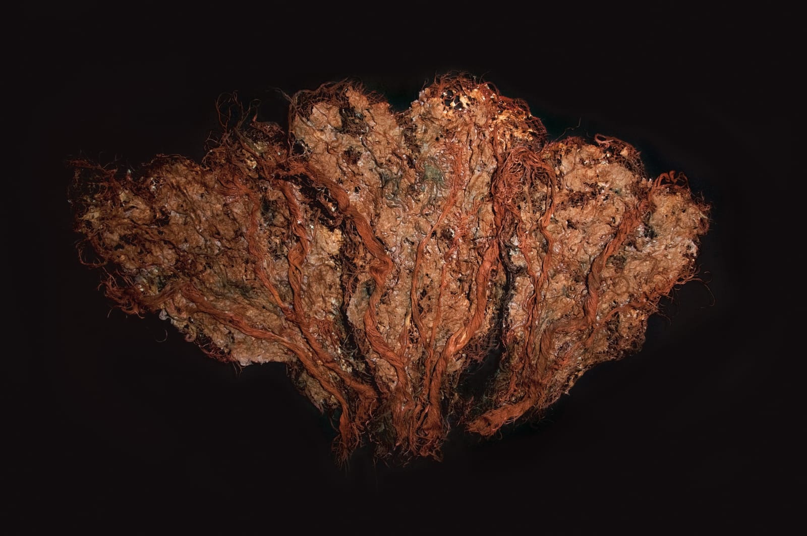 Nnenna Okore, Would We Ever know?, 2011