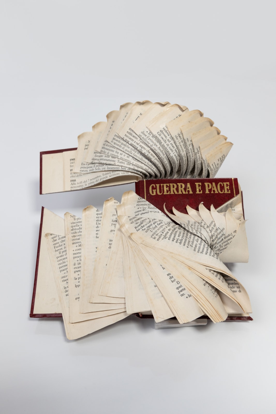 Jukhee Kwon, Guerra e pace (War and Peace), 2020