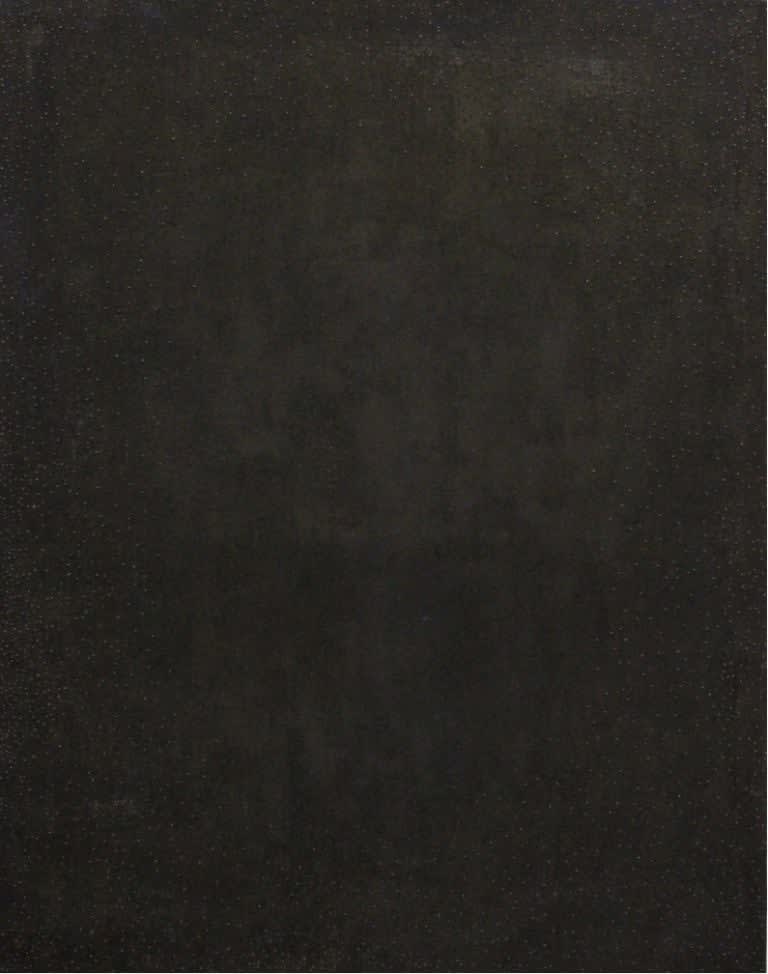 Govinda Sah 'Azad', The Shadow is Darker than Black, 2014