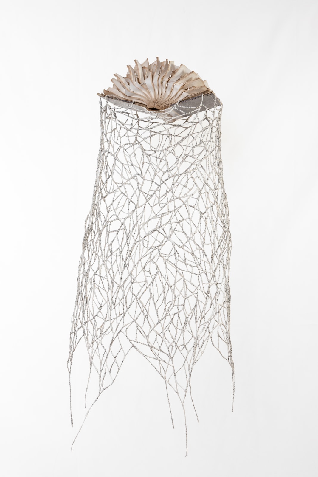 Jukhee Kwon, Dancing Book, 2022