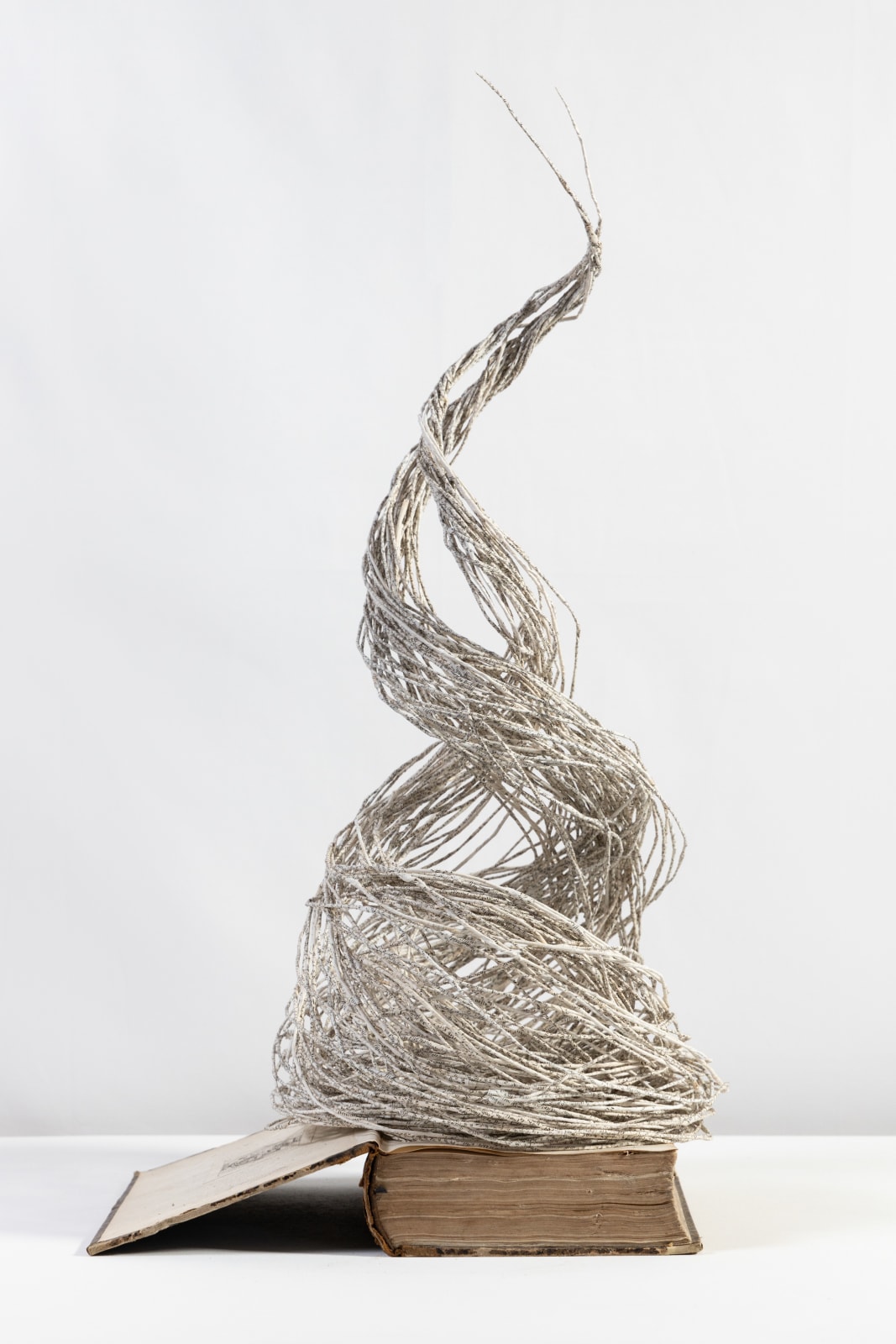 Jukhee Kwon, Tornado, 2022