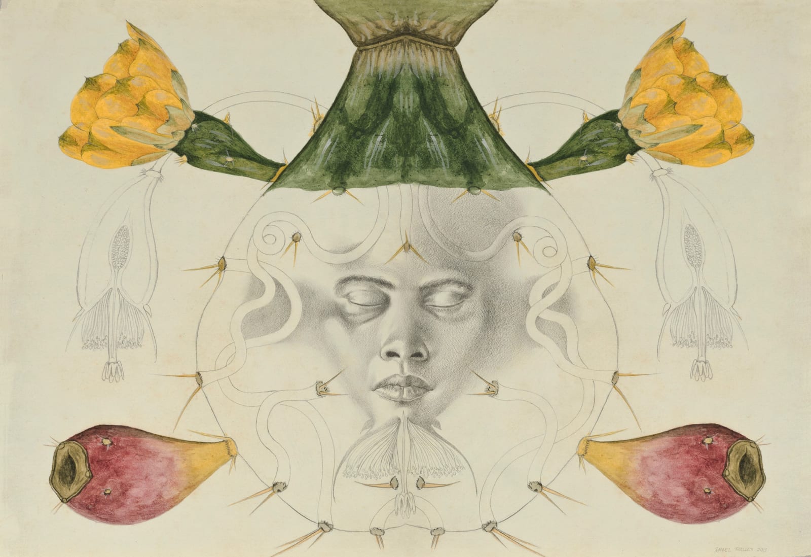 Rafael Trelles, Untitled Drawing #4, 2013