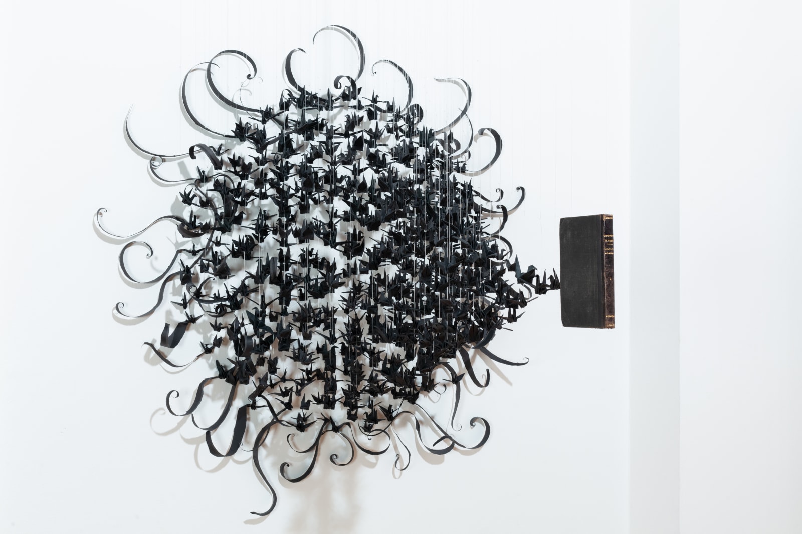 Jukhee Kwon, Meditation, 2022