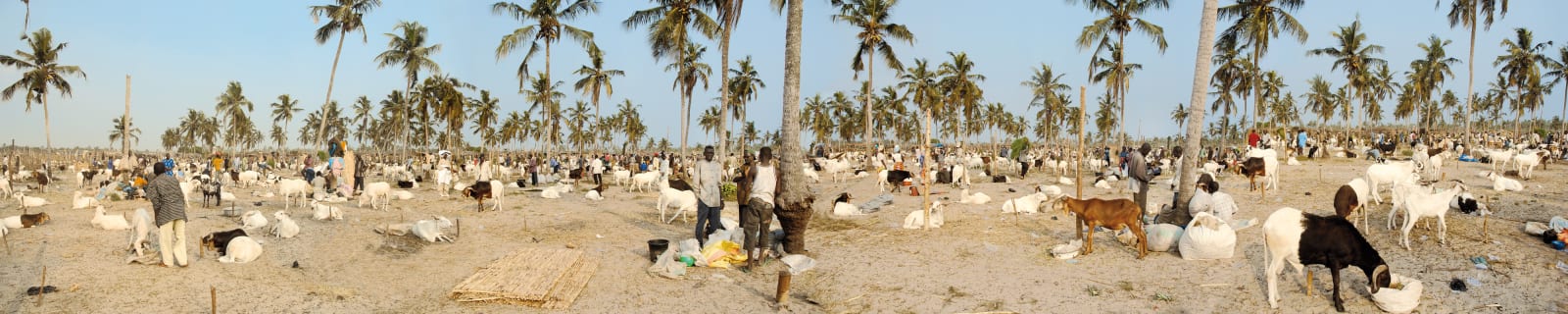 Romuald Hazoumè, Market Forces, Better to sell Meat than Men! (Marché de moutons), 2006