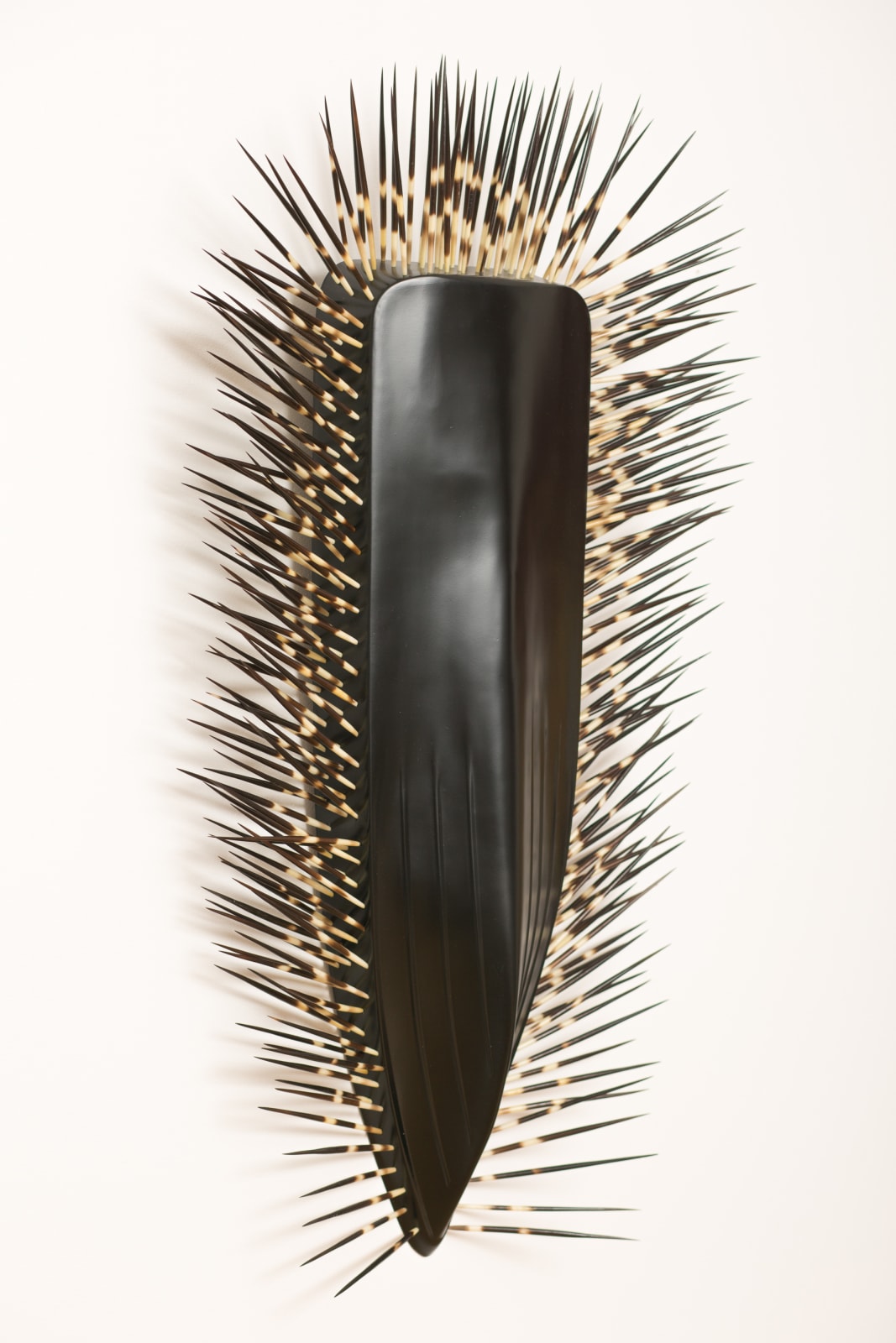 LR Vandy, Porcupine, 2015