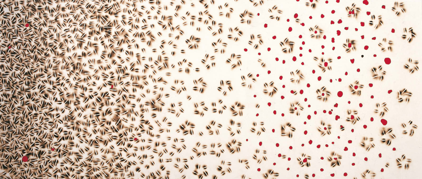 Sandile Zulu, Galaxy 4, 2005