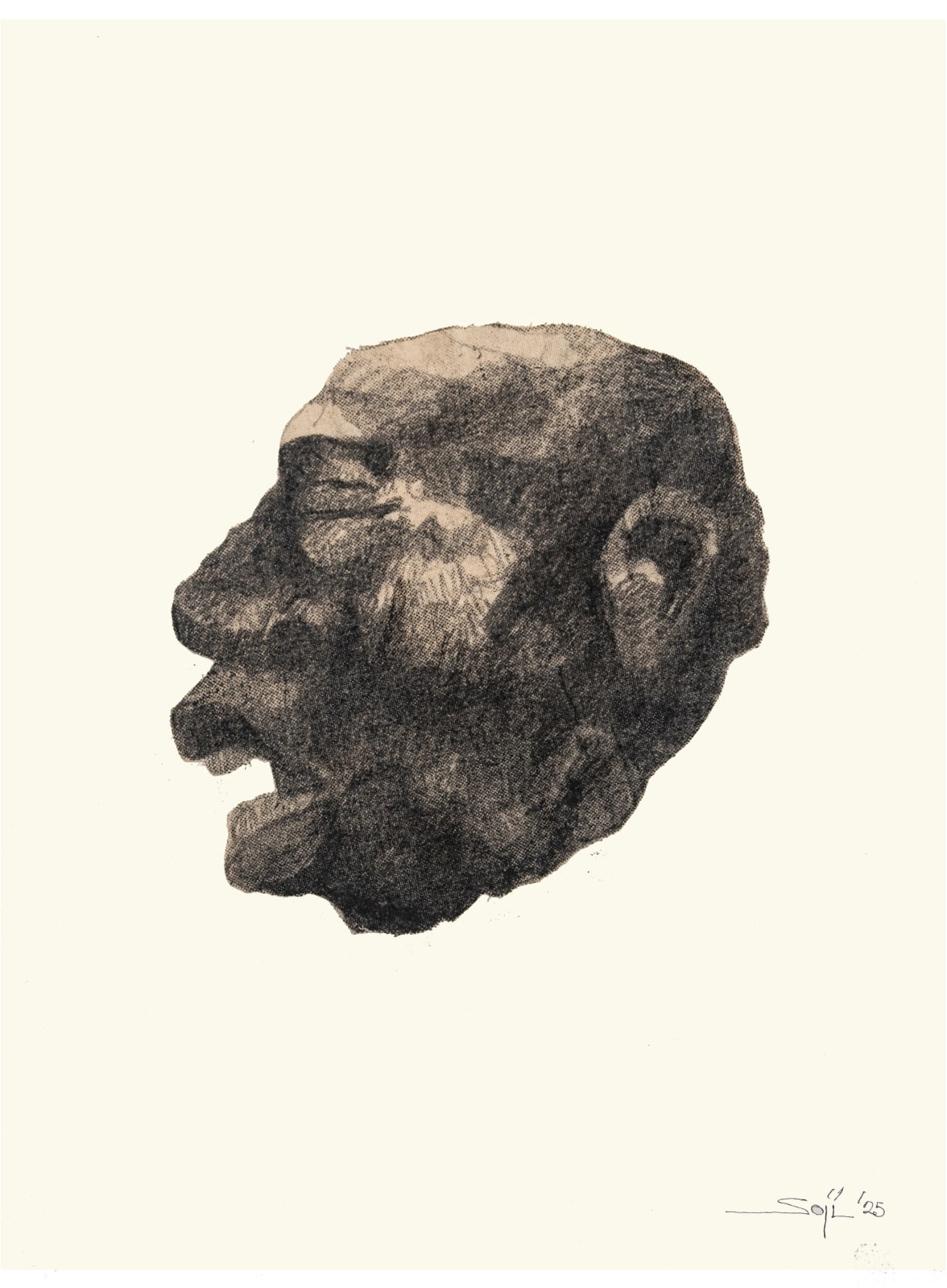 Soji Adesina, Tribal Biometrics 14, 2025