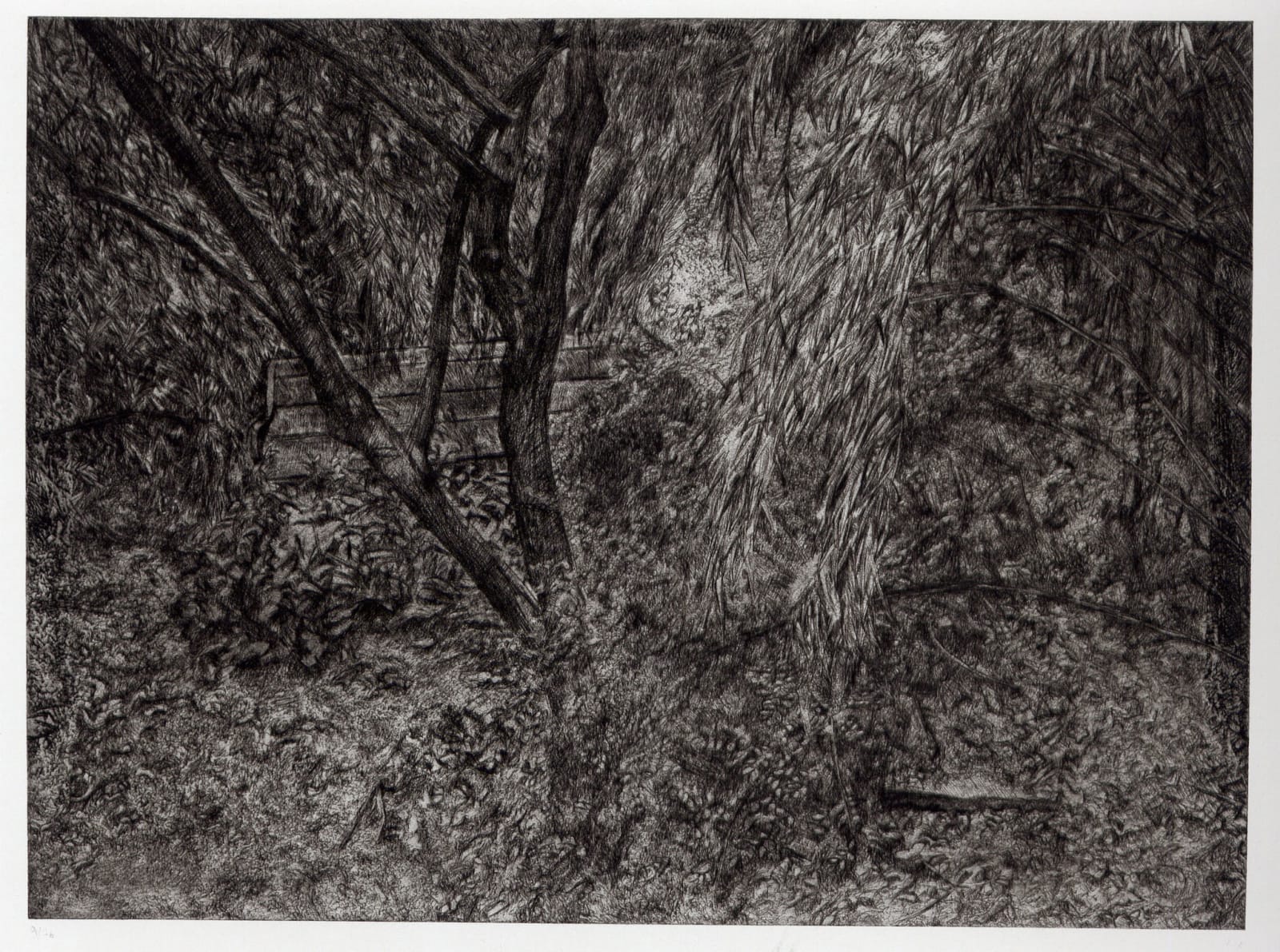 Lucian Freud, Painter's Garden, 2004