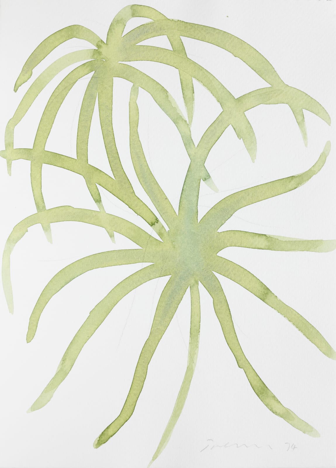 William Turnbull, Untitled (Leaf Study 3), 1974