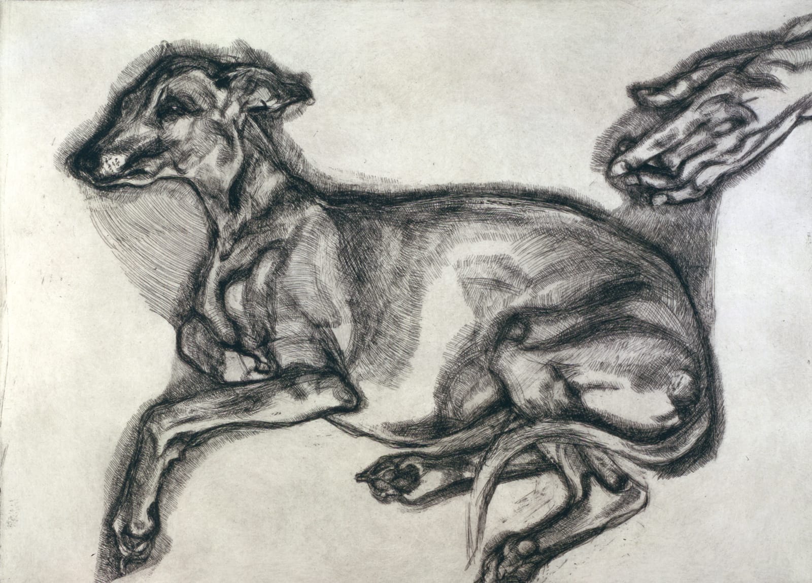 Lucian Freud, Pluto Aged Twelve, 2000