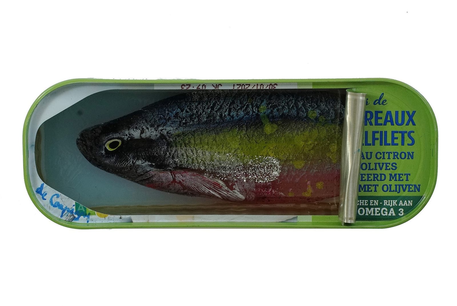 Ortaire de Coupigny, Catch of the Day, 2023