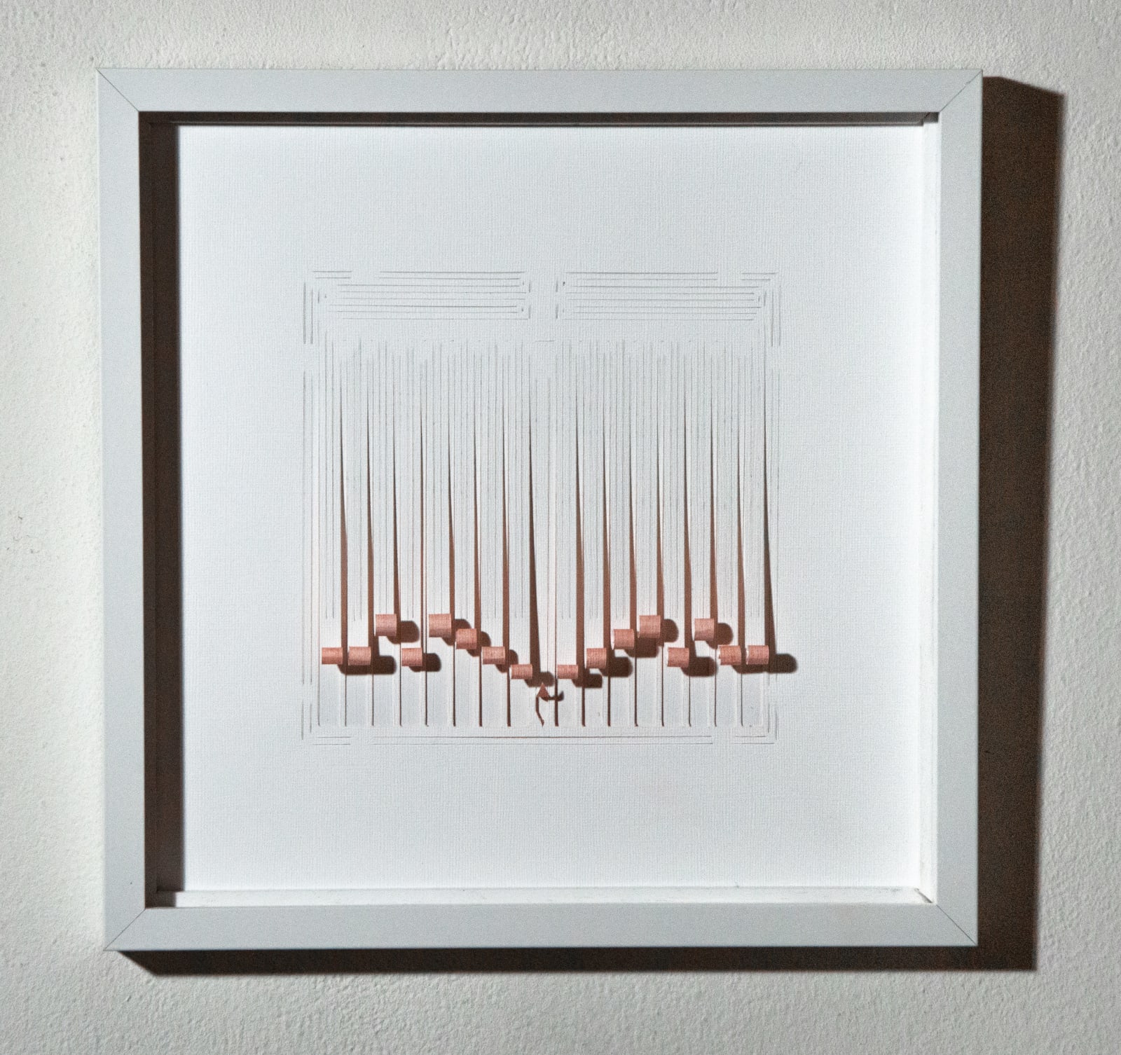 David Berkowitz, Divarications of White