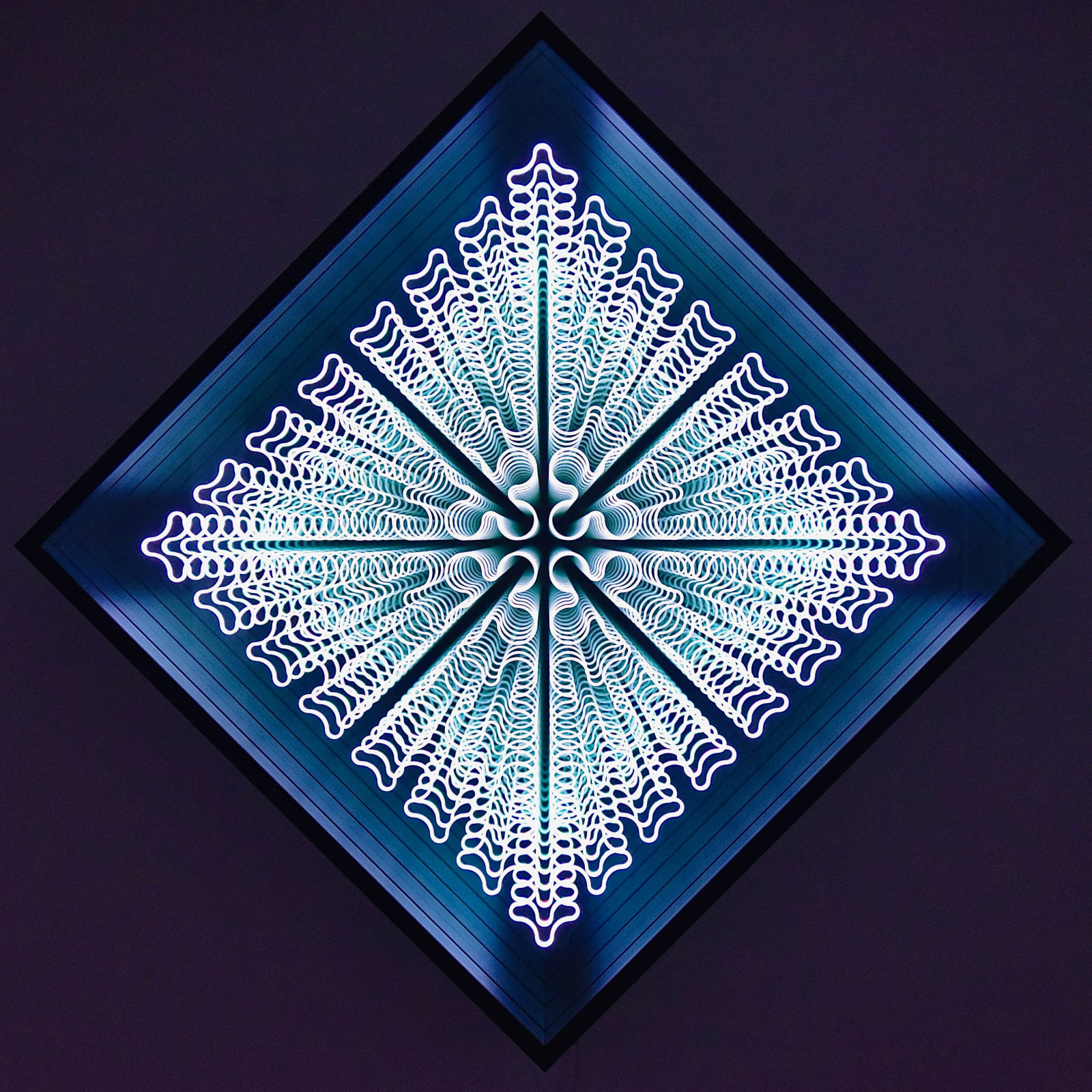 Bardula, Utrecht, 2020