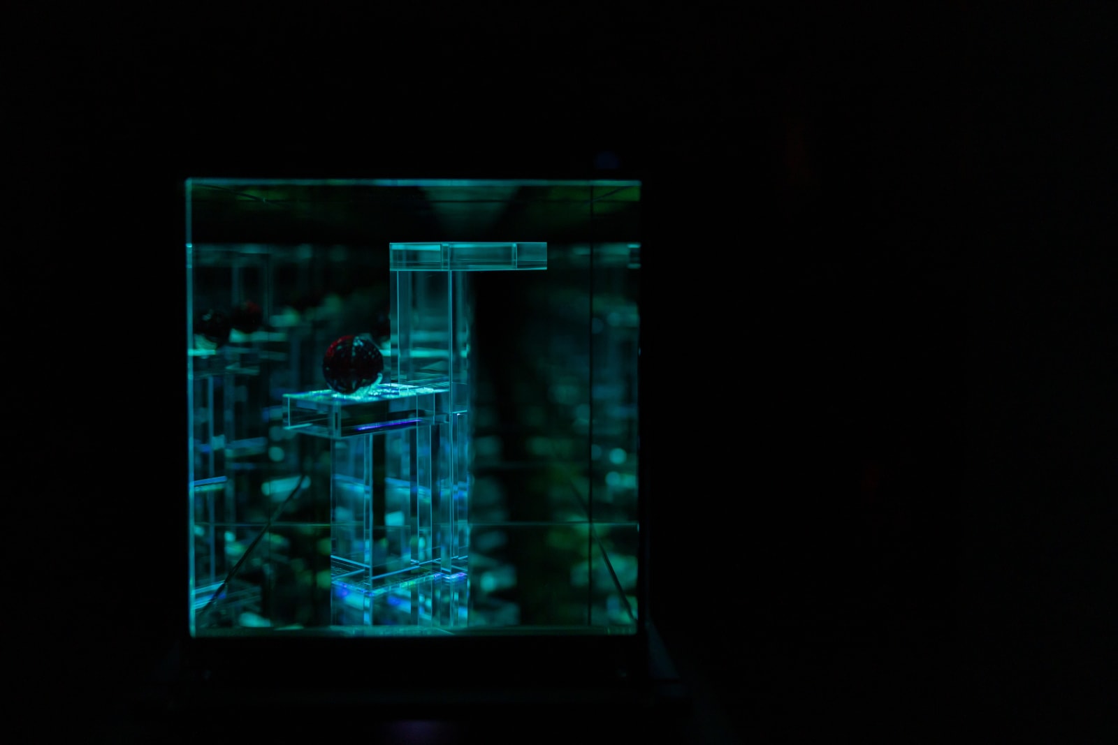 NagyMolnar, Geometric Cherry, 2024