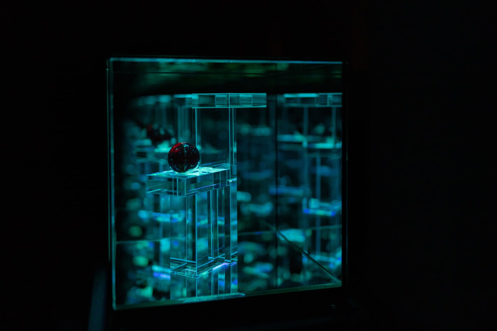 NagyMolnar, Geometric Cherry, 2024