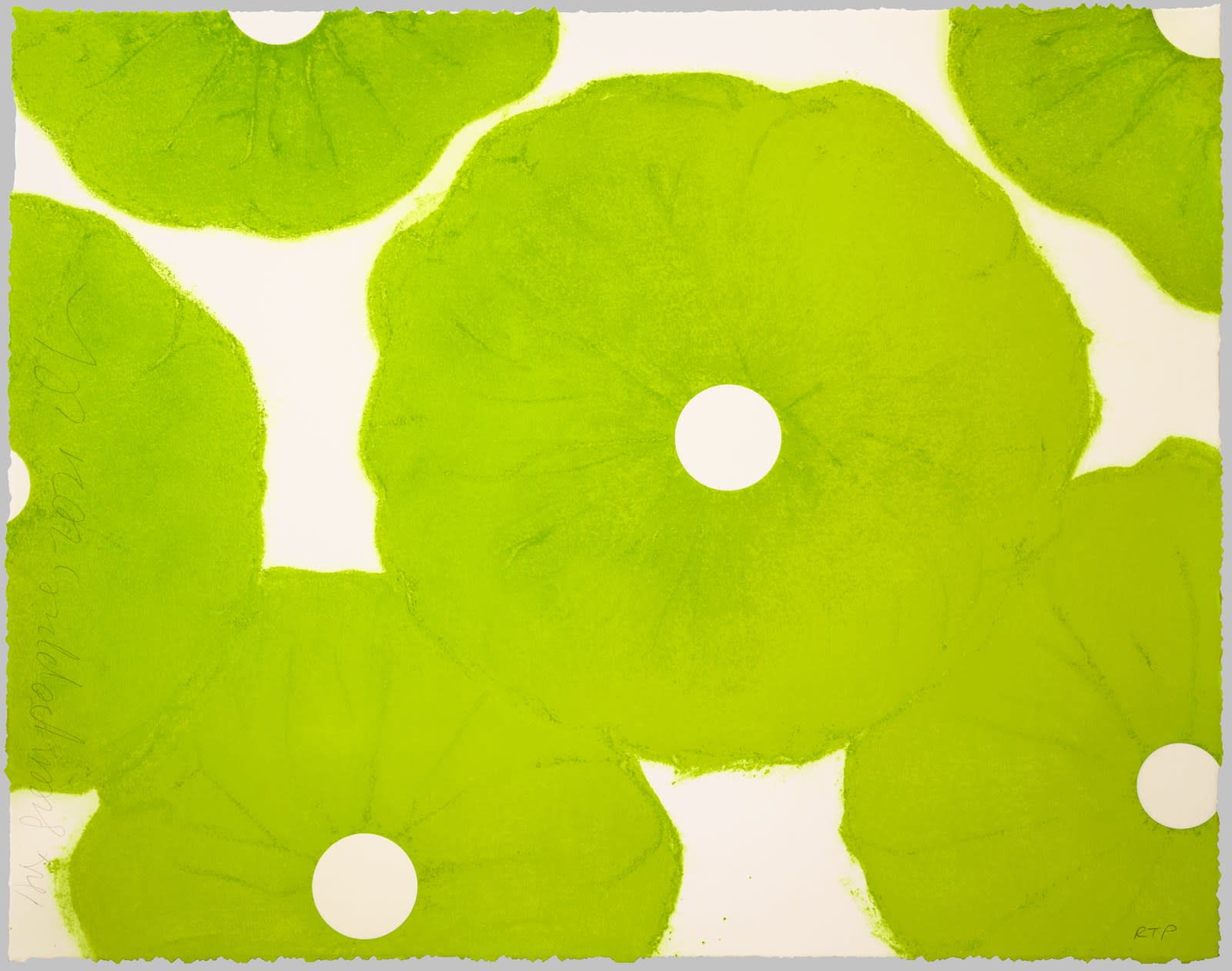 Donald Sultan, Six Green Poppies, 2021, 2023