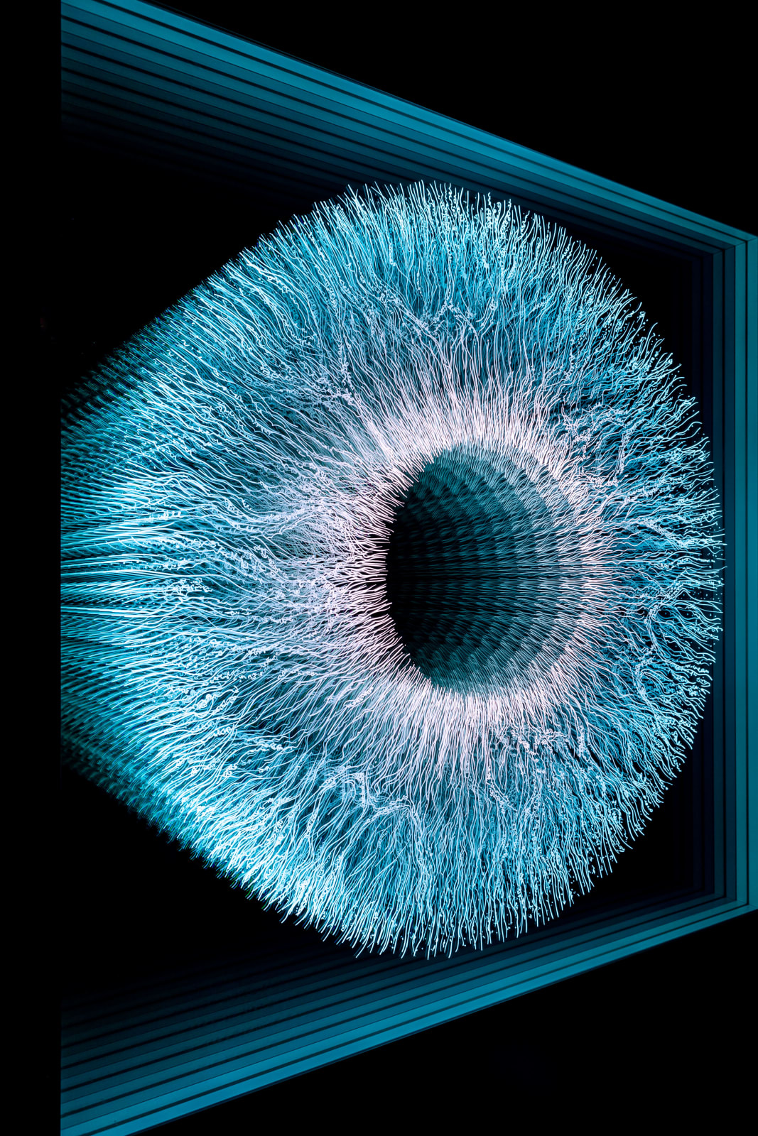 NagyMolnar, Iris 5, 2022