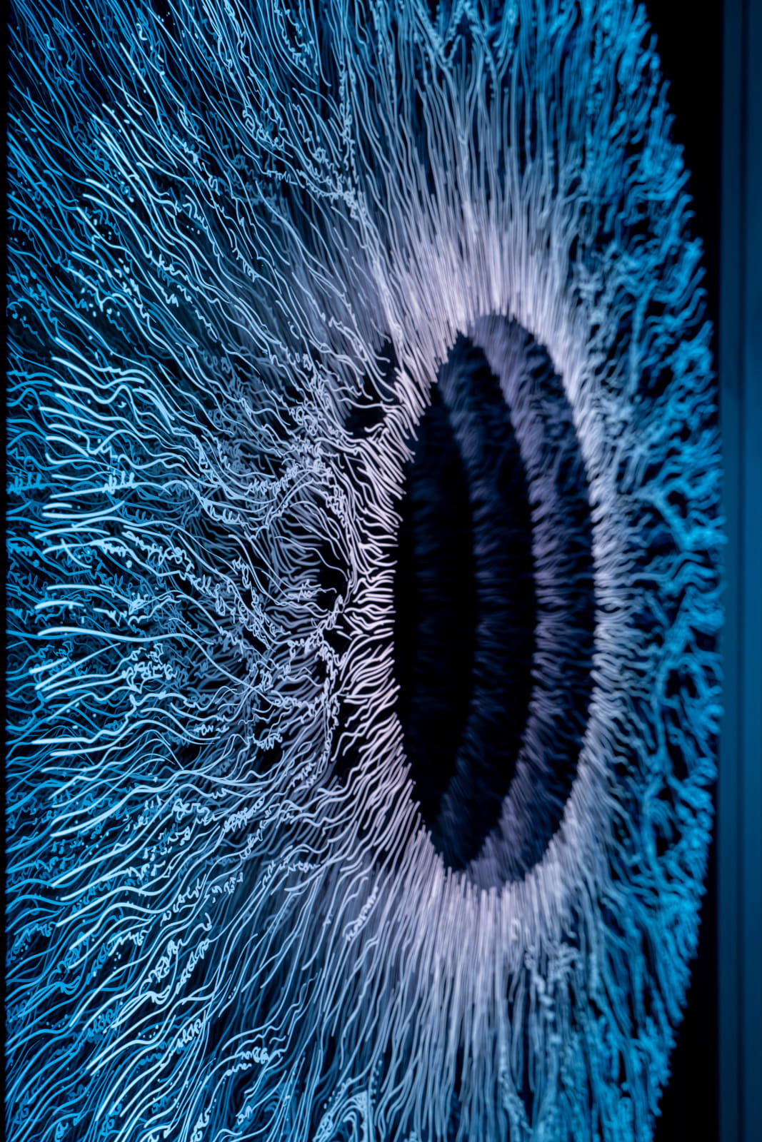 NagyMolnar, Iris 5, 2022