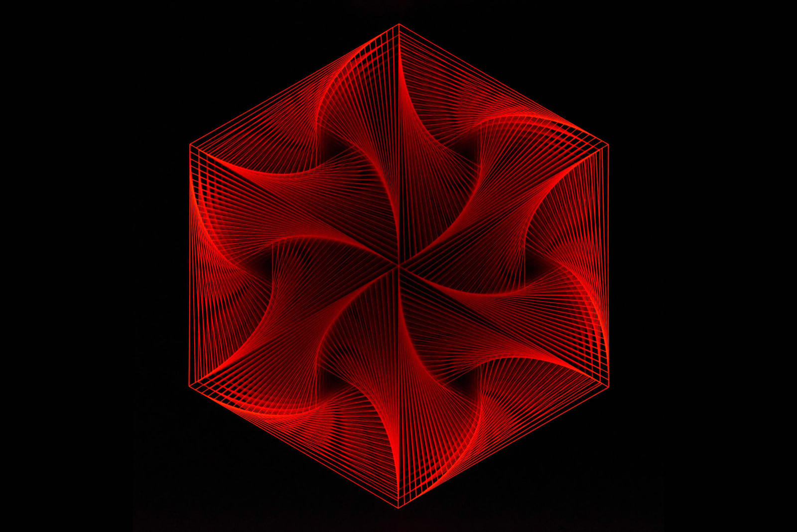 Bardula, Colored Icing, 2018