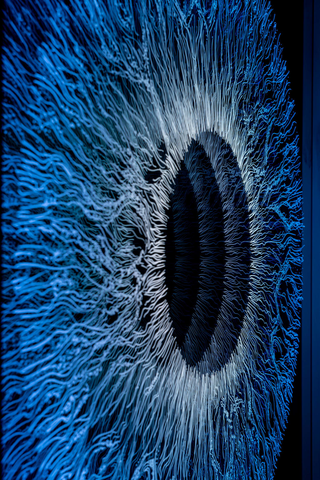 NagyMolnar, Iris 5, 2022