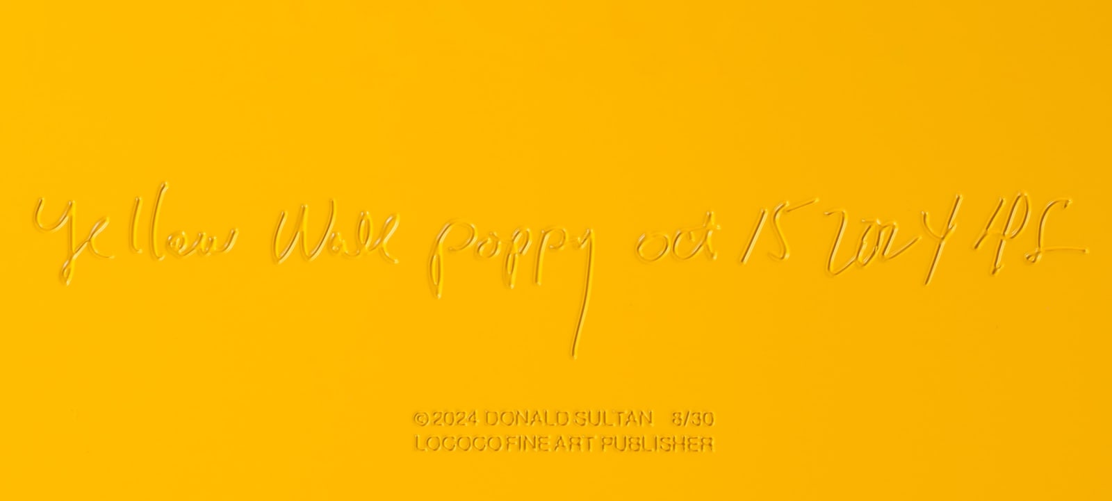 Donald Sultan, Yellow Wall Poppy, Oct 15, 2024, 2024