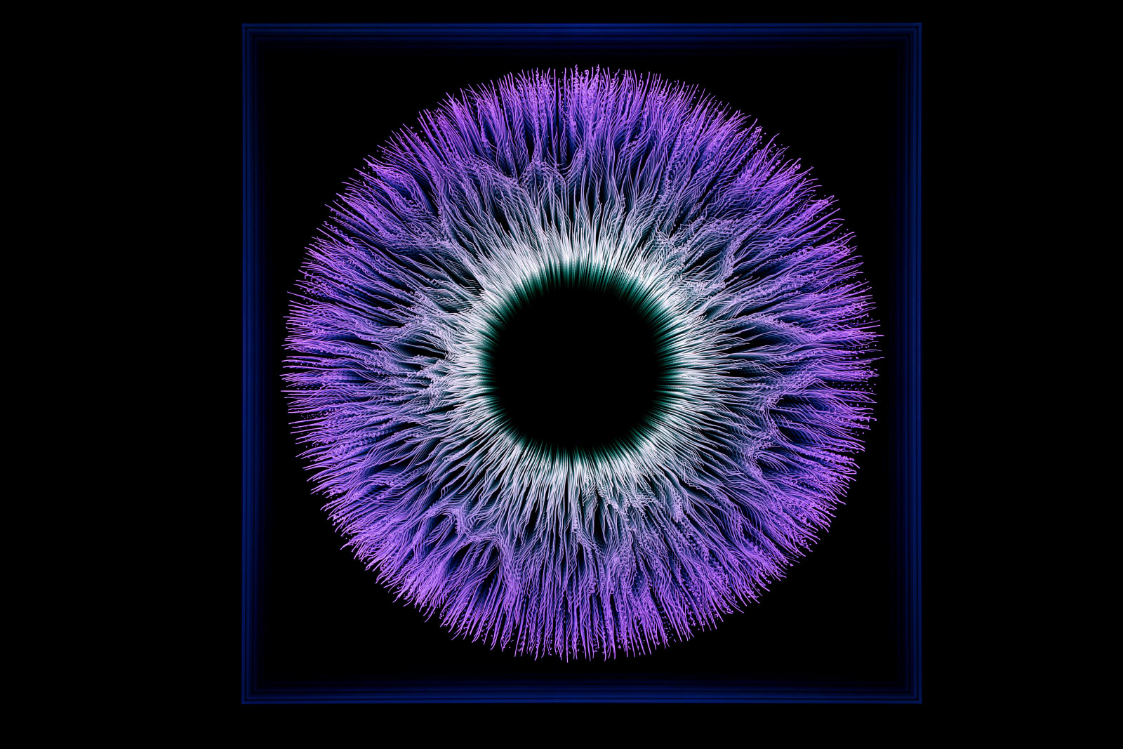 NagyMolnar, Iris 5, 2022