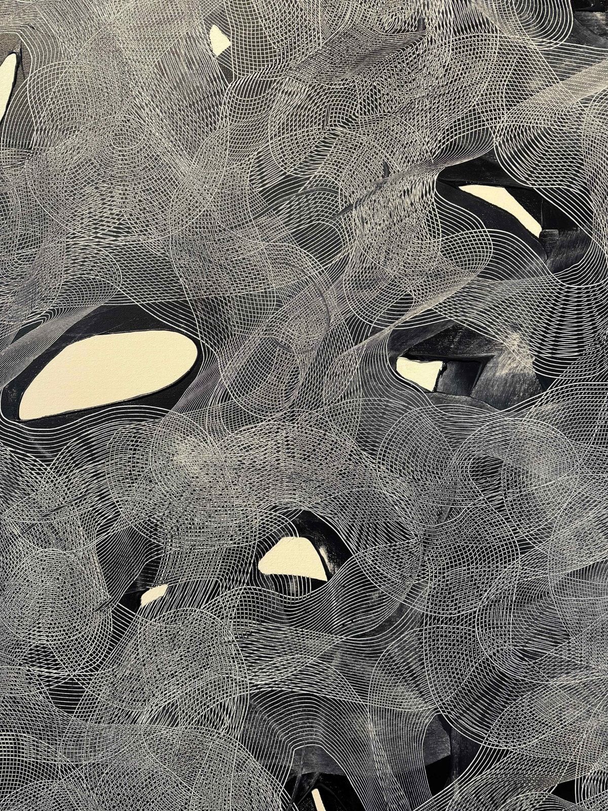 Ted Collier, Linear Series 5, 2023