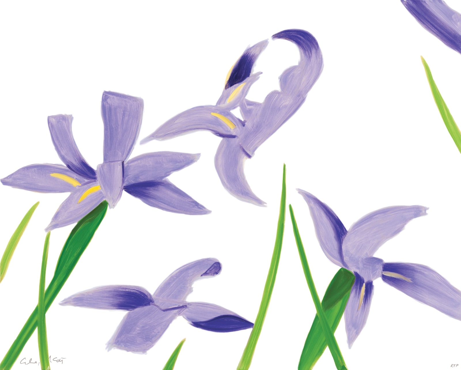 Alex Katz, Purple Irises on White, 2023