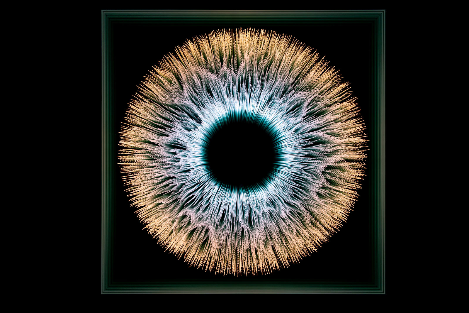 NagyMolnar, Iris 5, 2022