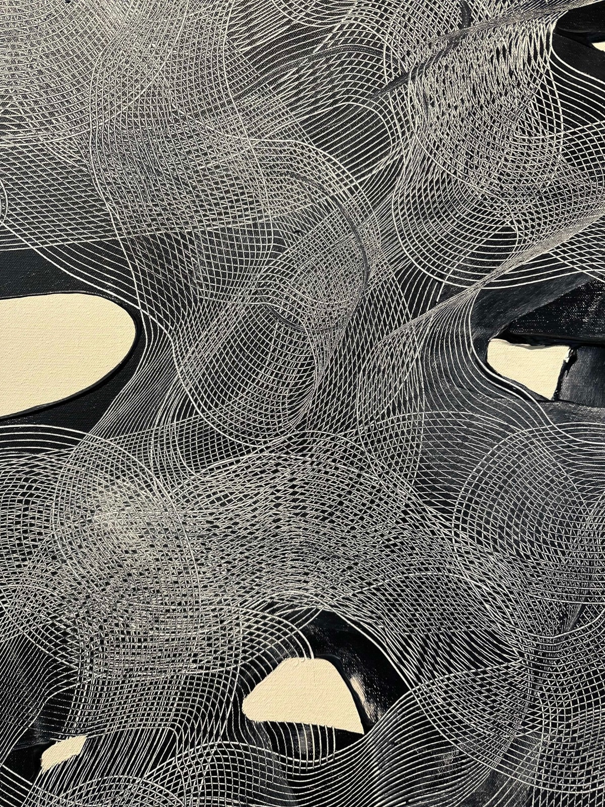 Ted Collier, Linear Series 5, 2023