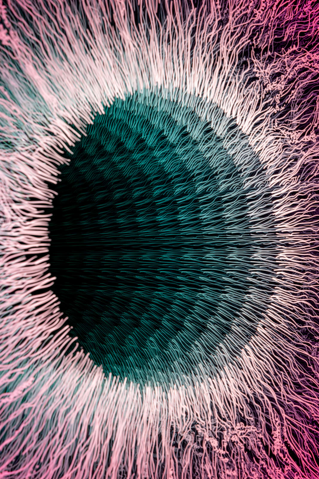 NagyMolnar, Iris 5, 2022