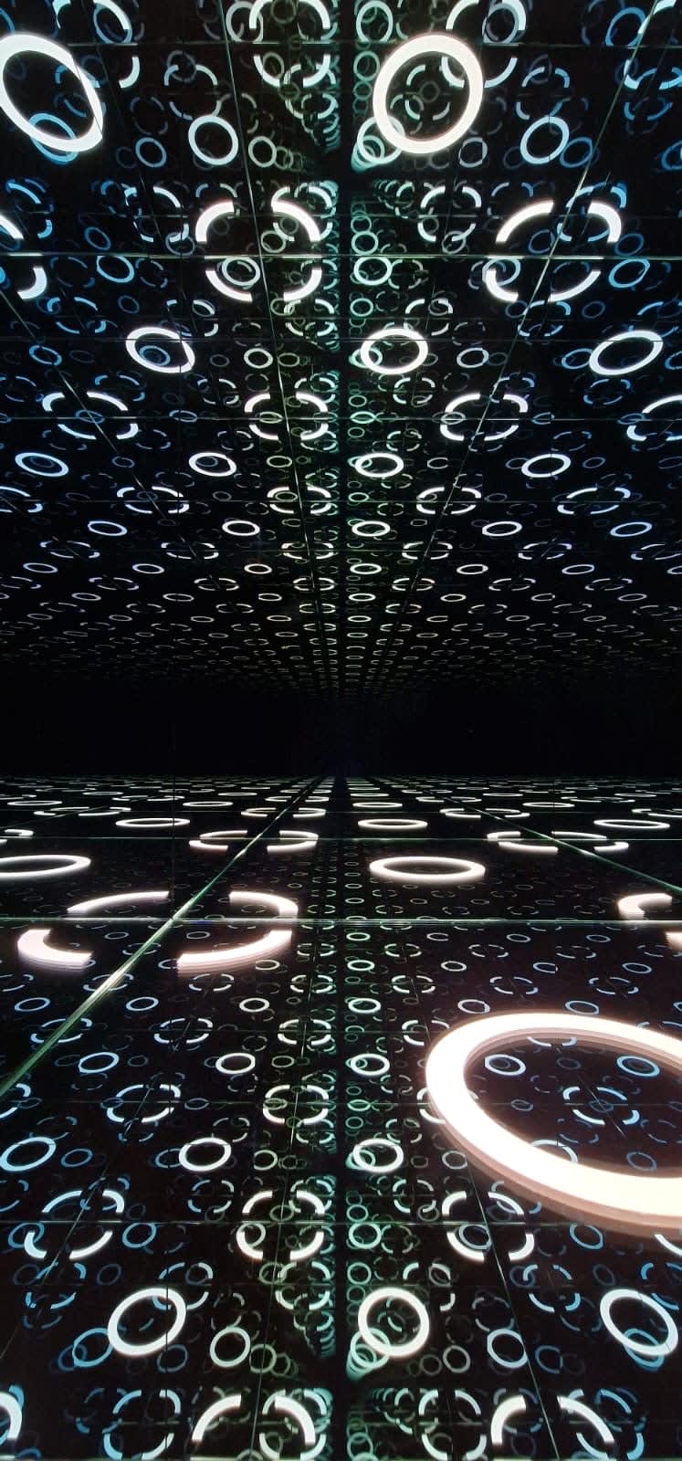 NagyMolnar, Elements 2, 2024