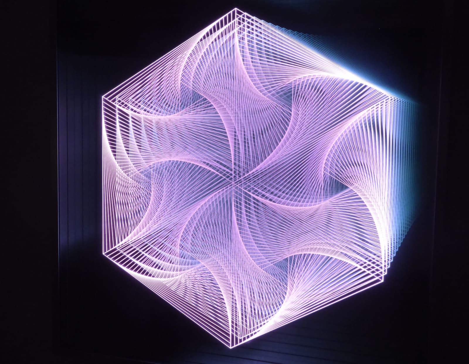 Bardula, Colored Icing, 2018