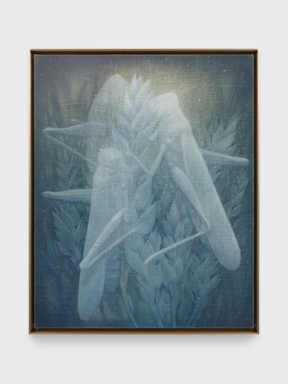 Theodora Allen, Locust, 2024