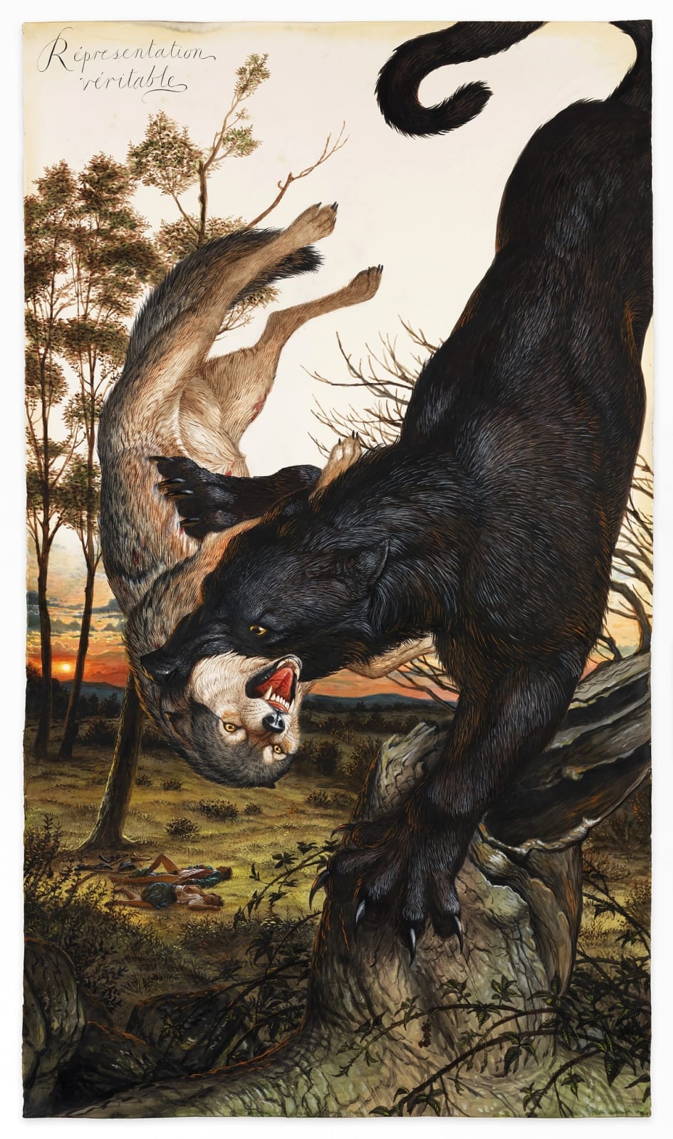 Walton Ford, Répresentation Véritable, 2015