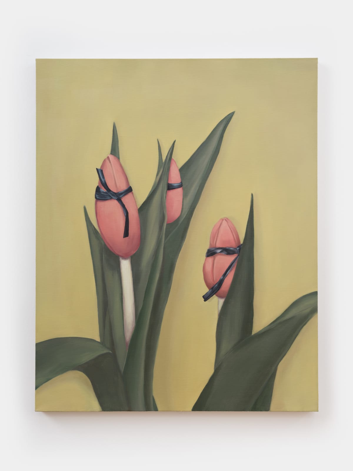 Lyn Liu, Tied tulips, 2024