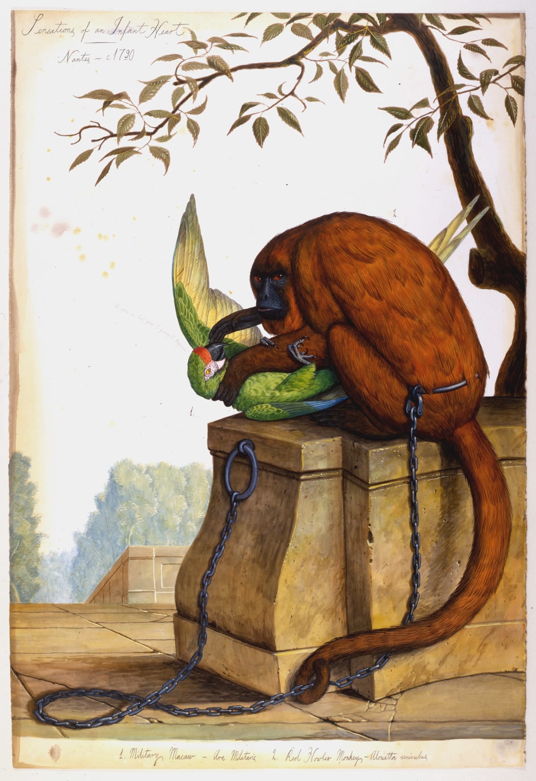 Walton Ford, Sensations of an Infant Heart, 1999