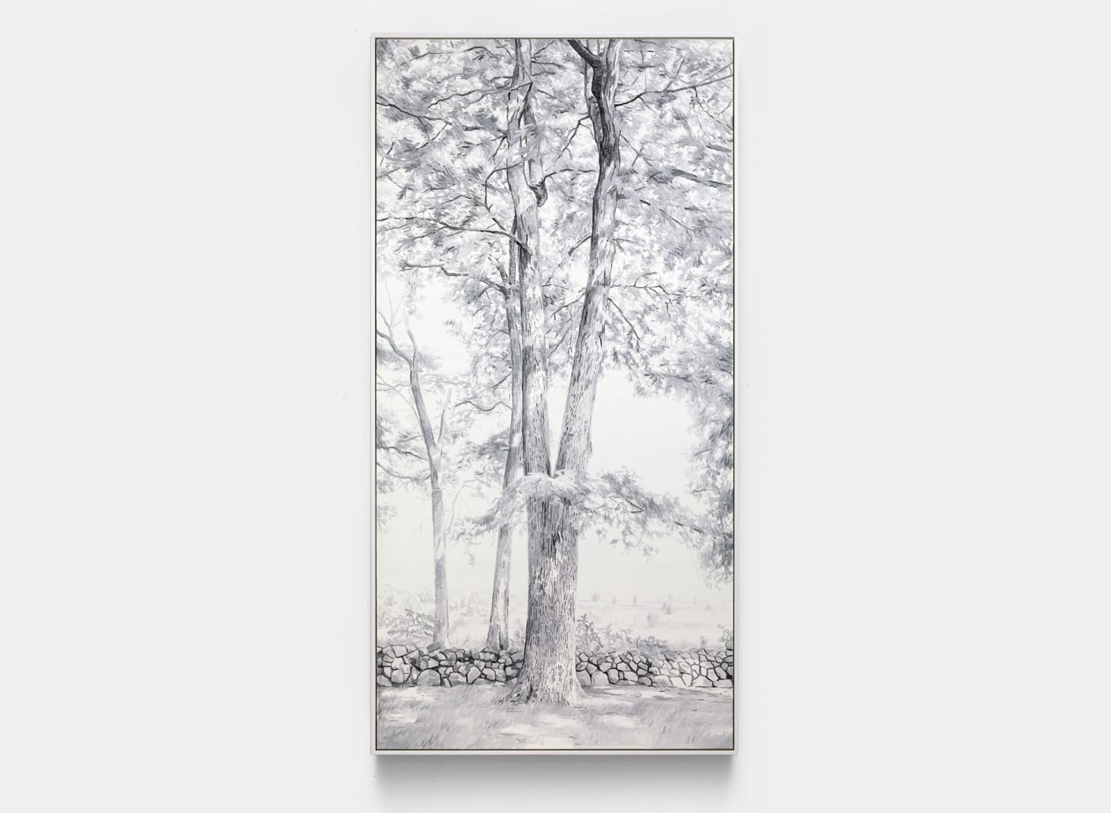 Cynthia Daignault, Gettysburg (Witness Tree), 2021