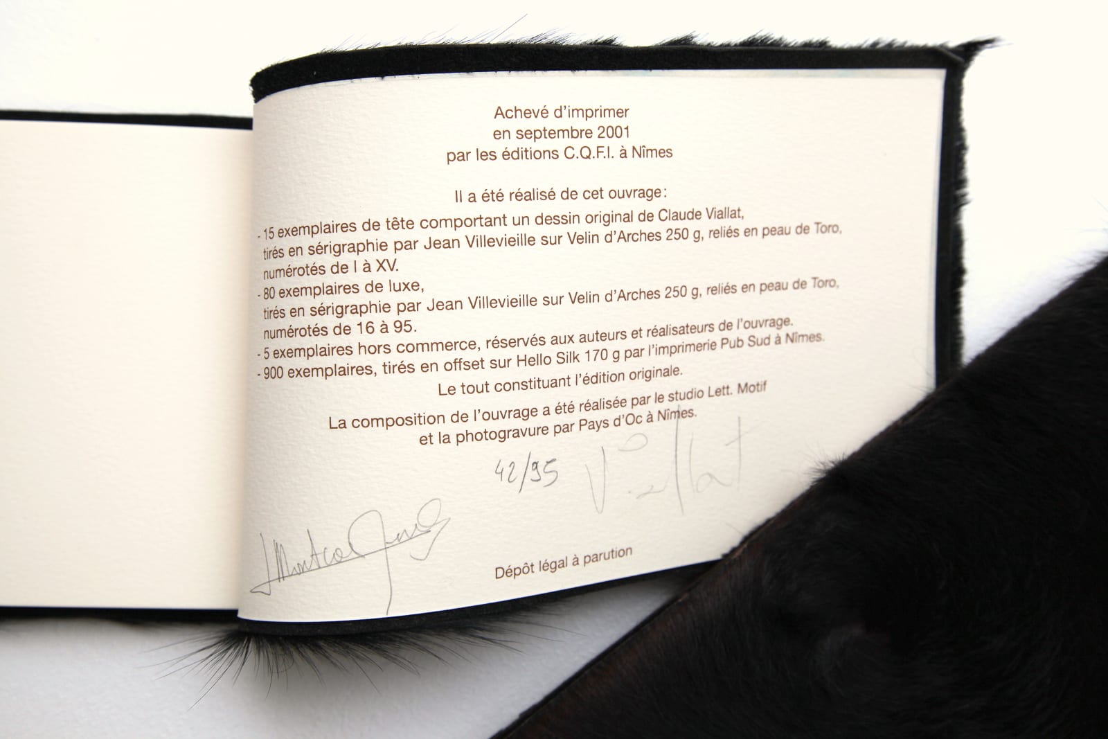 Claude VIALLAT, Suertes, 2001