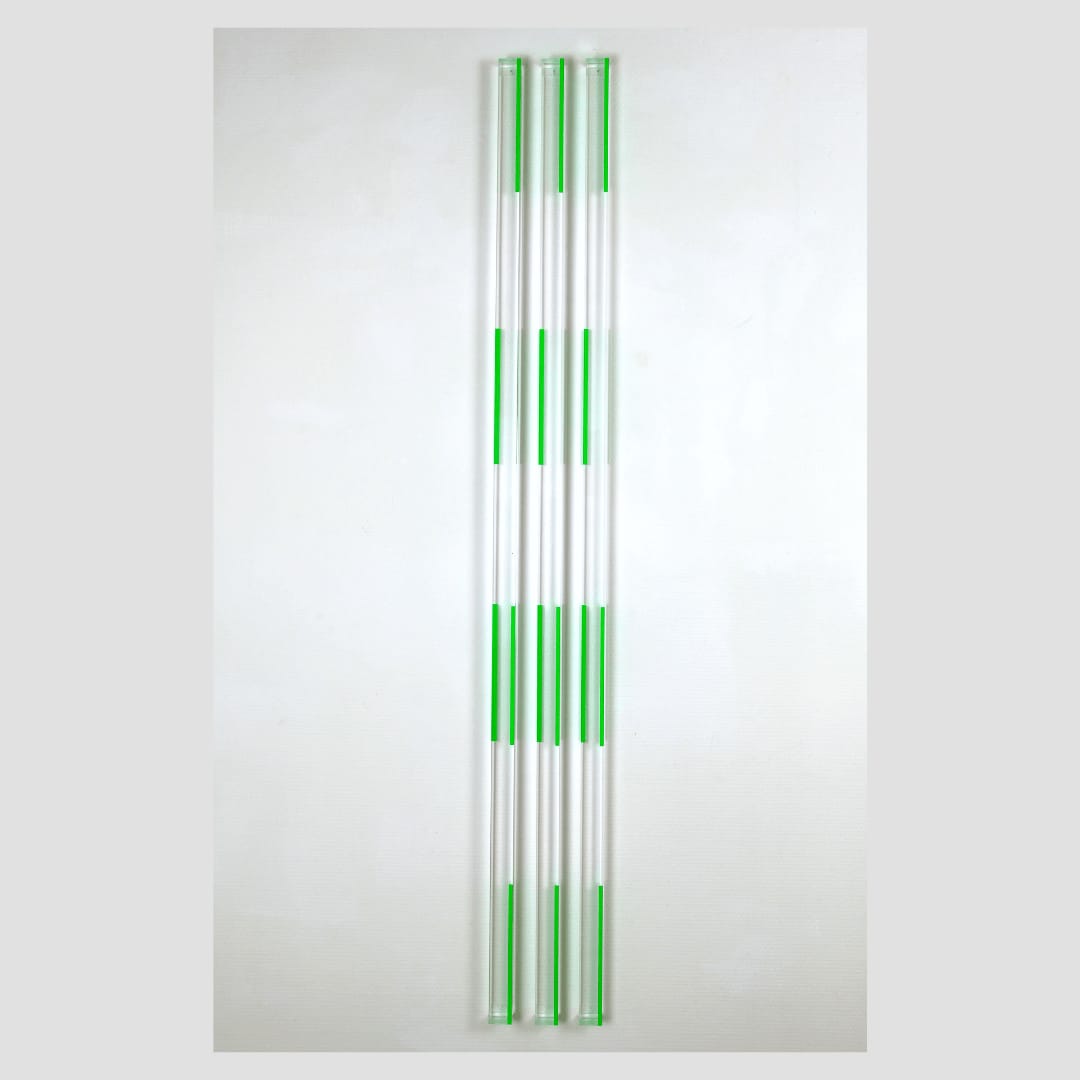 Marie-Thérèse VACOSSIN, Vert'icale, 2007