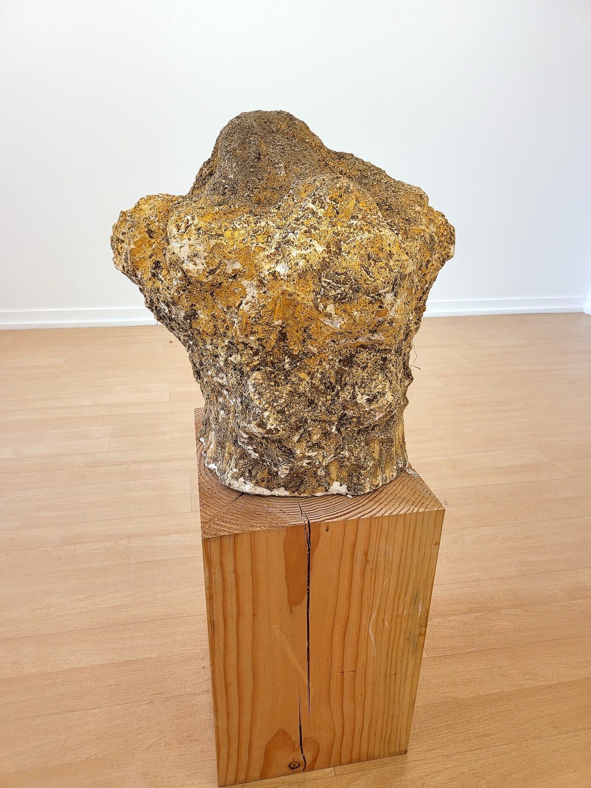 Nikolas FOURÉ, Terrestre, 2022